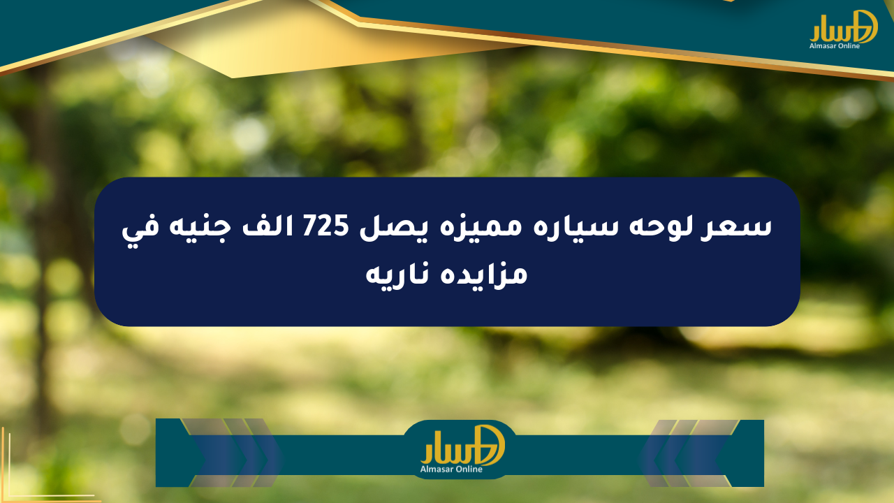 سعر لوحة سيارة مميزة يصل 725 ألف جنيه في مزايدة نارية